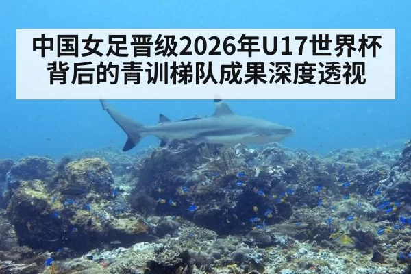 中国女足晋级2026年U17世界杯背后的青训梯队成果深度透视
